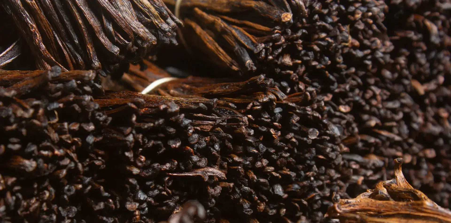 Heart of the Harvest to the Heart of Your Home