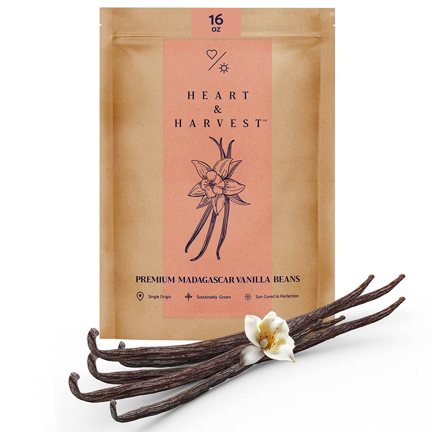 Grade A Madagascar Vanilla 1oz - Heart & Harvest